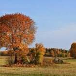 org:/landingpages/winnaars DK NO SE/3e-prize scandinavie.jpg